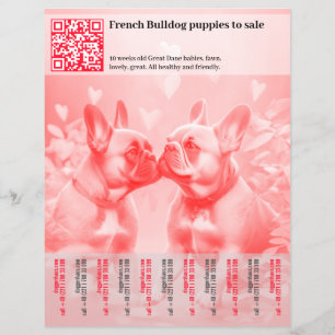 Selling Frenchie Puppies Design Flyer