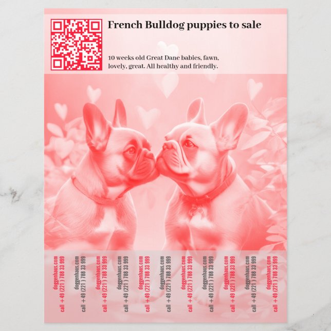 Selling Frenchie Puppies Design Flyer (Front)