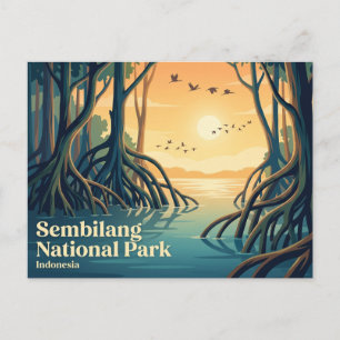 Sembilang National Park Indonesia Postcard
