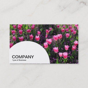 Semi-circle Panel - Bed of Pink Tulips Business Card