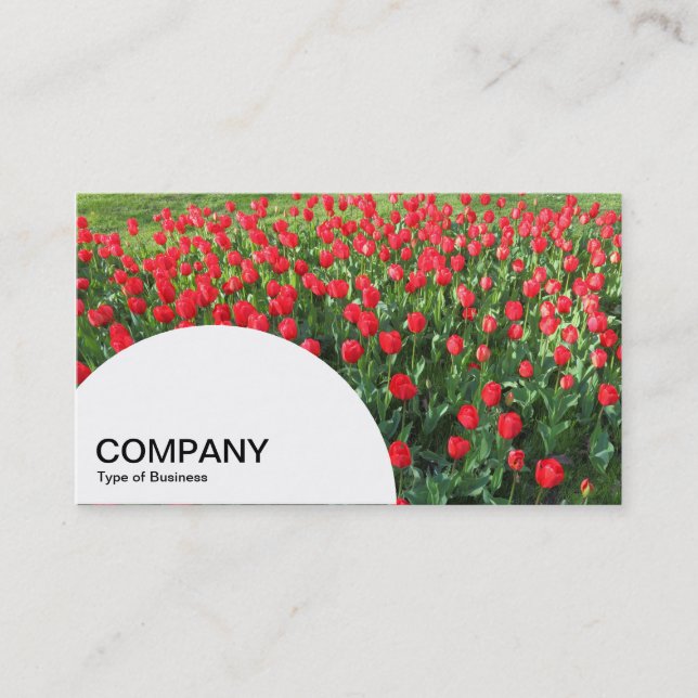 Semi-circle Panel - Bed of Red Tulips 01 Business Card (Front)