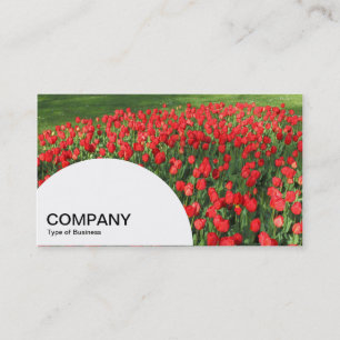 Semi-circle Panel - Bed of Red Tulips 02 Business Card