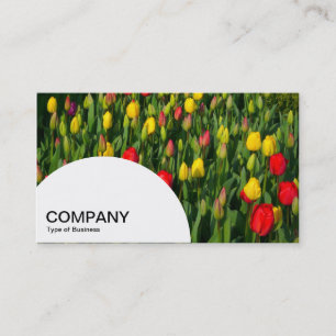 Semi-circle Panel - Colourful Tulips Business Card