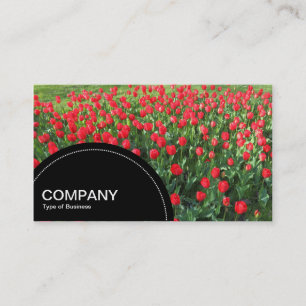 Semi-circle Panel (dots) - Bed of Red Tulips 01 Business Card