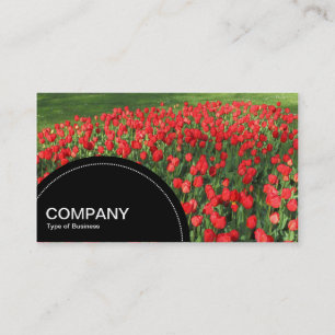 Semi-circle Panel (dots) - Bed of Red Tulips 02 Business Card