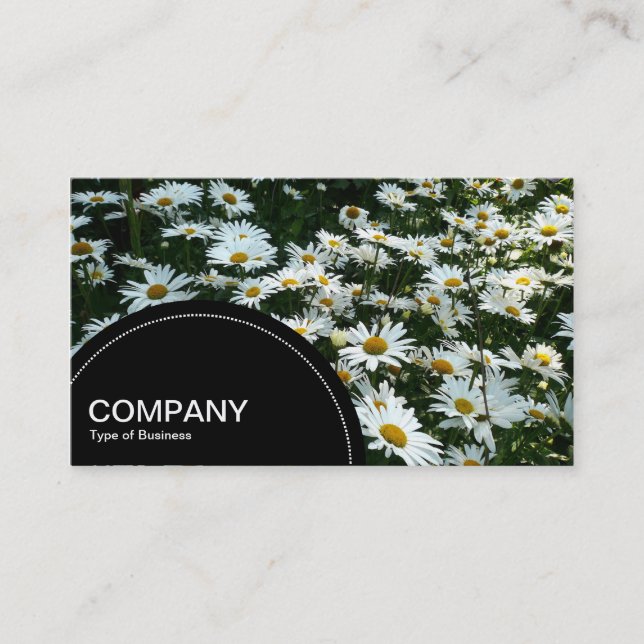 Semi-circle Panel (dots) - Daisies Business Card (Front)