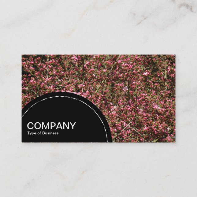 Semi-circle Panel (dots) - Pink Cherry Blossom 02 Business Card (Front)