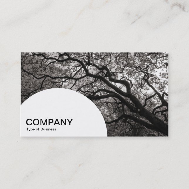 Semi-circle Panel - Magnolia Tree 03 Business Card (Front)
