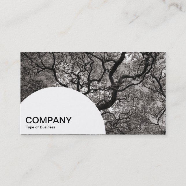 Semi-circle Panel - Magnolia Tree Business Card (Front)
