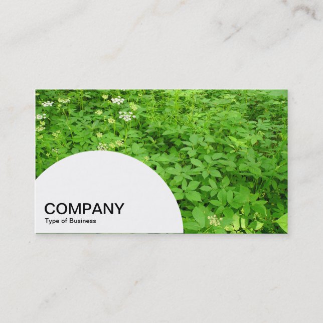 Semi-circle Panel - Woodland Undergrowth in Spring Business Card (Front)