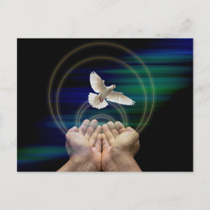 semi-gloss, standard size, peace and doves postcard