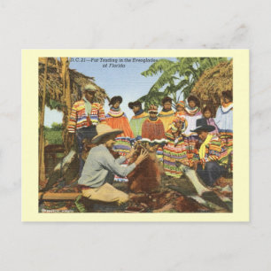 Seminole Indians, Fur Trading, Everglades Vintage Postcard