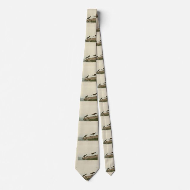 Semipalmated Sandpiper, Audubon's Birds of America Tie (Front)
