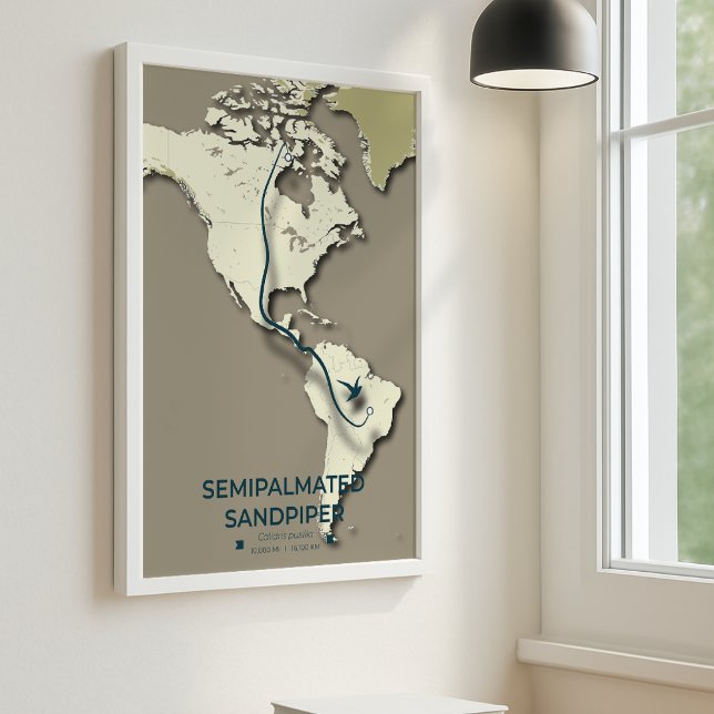 Semipalmated Sandpiper Migration Map – Minimalist  Poster (Semipalmated Sandpiper A3 Mockup)