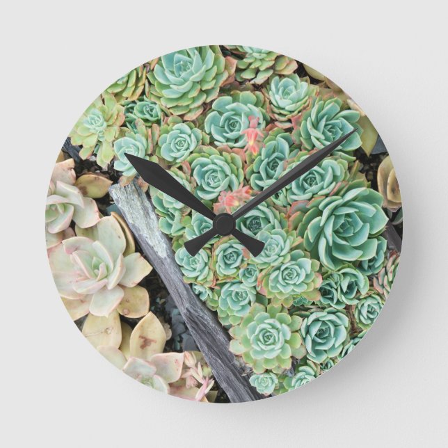 Sempervivum Round Clock (Front)