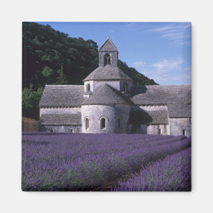 Senanque Abbey, Gordes, Vaucluse, Provence, 2 Magnet
