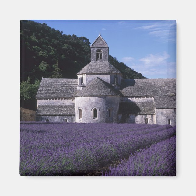 Senanque Abbey, Gordes, Vaucluse, Provence, 2 Magnet (Front)