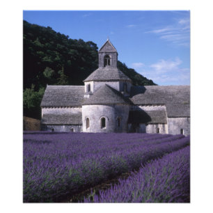 Senanque Abbey, Gordes, Vaucluse, Provence, 2 Photo Print