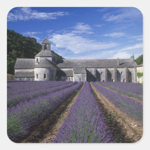 Senanque Abbey, Gordes, Vaucluse, Provence, Square Sticker