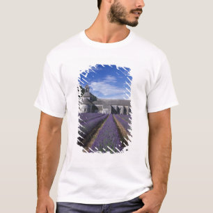 Senanque Abbey, Gordes, Vaucluse, Provence, T-Shirt