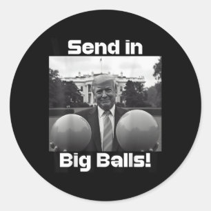 Send In Big , President Trump And Doge Classic Round Sticker