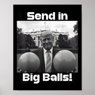 Send In Big , President Trump And Doge  Poster