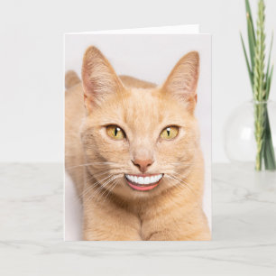 Sending a Smile Funny Cat with Human Teeth  Holiday Card