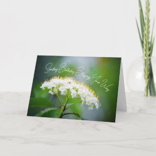 Sending Birthday Blessings Your Way White Flower Card