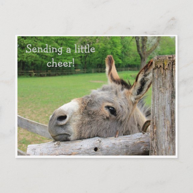 "Sending Cheer" Unhappy Donkey Postcard (Front)