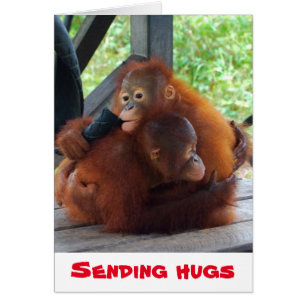 Sending Hugs Valentine