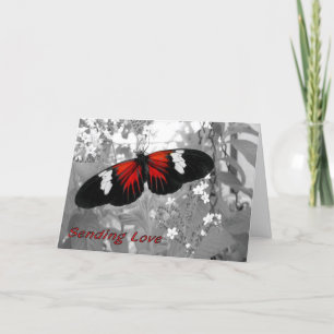Sending Love Card via Carrier Butterfly