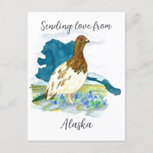 Sending Love From Alaska Willow Ptarmigan Bird Postcard