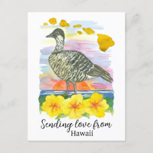 Sending Love From California Quail Poppies Postcard