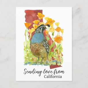 Sending Love From California Quail Poppies Postcard