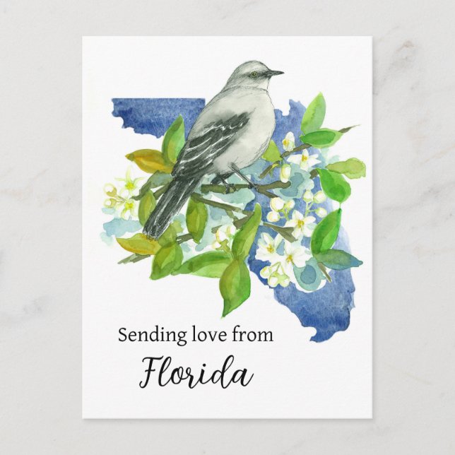 Sending Love From Florida Mockingbird Orange Postcard (Front)