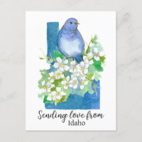 Sending Love From Idaho Bluebird Syringa