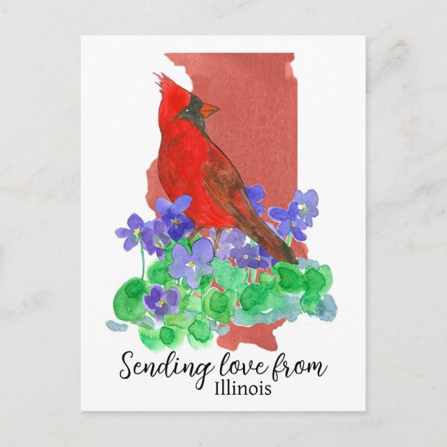 Sending Love From Illinois Cardinal Violets Postcard (Front)