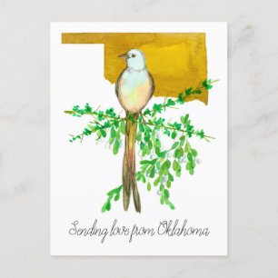 Sending love from Oklahoma Scissor tail Flycatcher Postcard