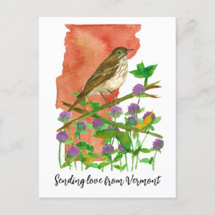 Sending love from Vermont Bird Clover Postcard