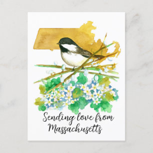 Sending Love Massachusetts Chickadee Mayflower Postcard