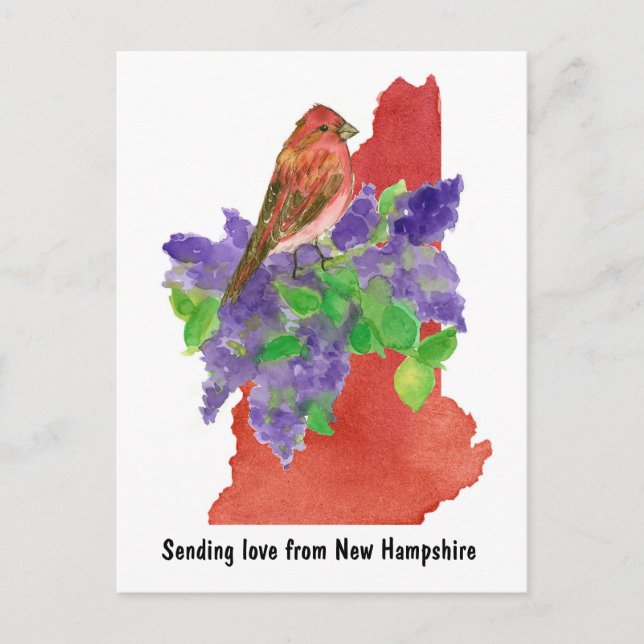 Sending Love New Hampshire Purple Finch Lilac Postcard (Front)