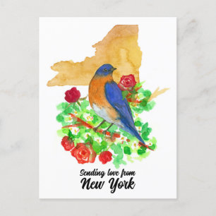 Sending Love New York Bluebird Red Roses Postcard