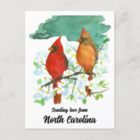 Sending Love North Carolina Cardinals Dogwood