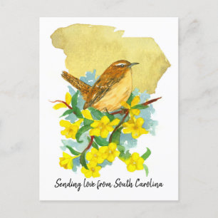 Sending Love South Carolina Wren Jessamine Postcard