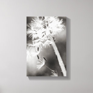 Sending Out Wishes Canvas Print