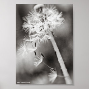 Sending Out Wishes Poster