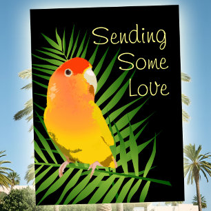 Sending Some Love Yellow Lovebird Parrot Pet Bird Postcard