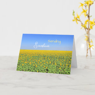 Sending Sunshine Sunflower Field Greeting Card