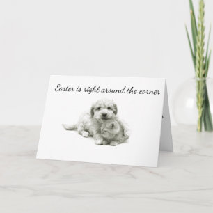 SENDING U "DOG & CAT" & NOT A DUCK AT **EASTER*** HOLIDAY CARD