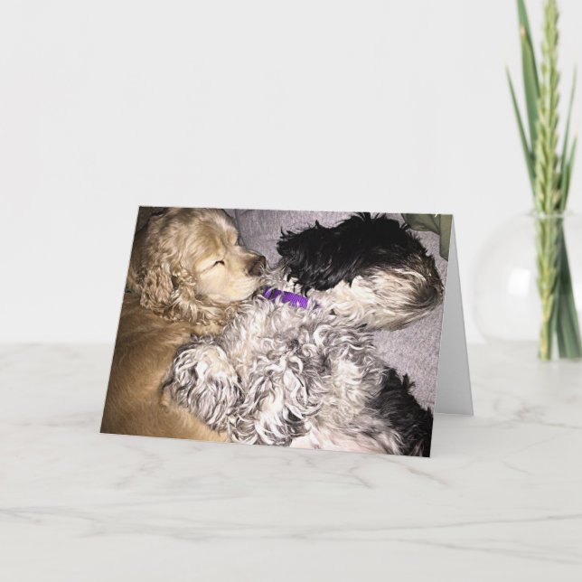 SENDING WISHES WHILE WE NAP ON YOUR BIRTHDAY CARD (Front)